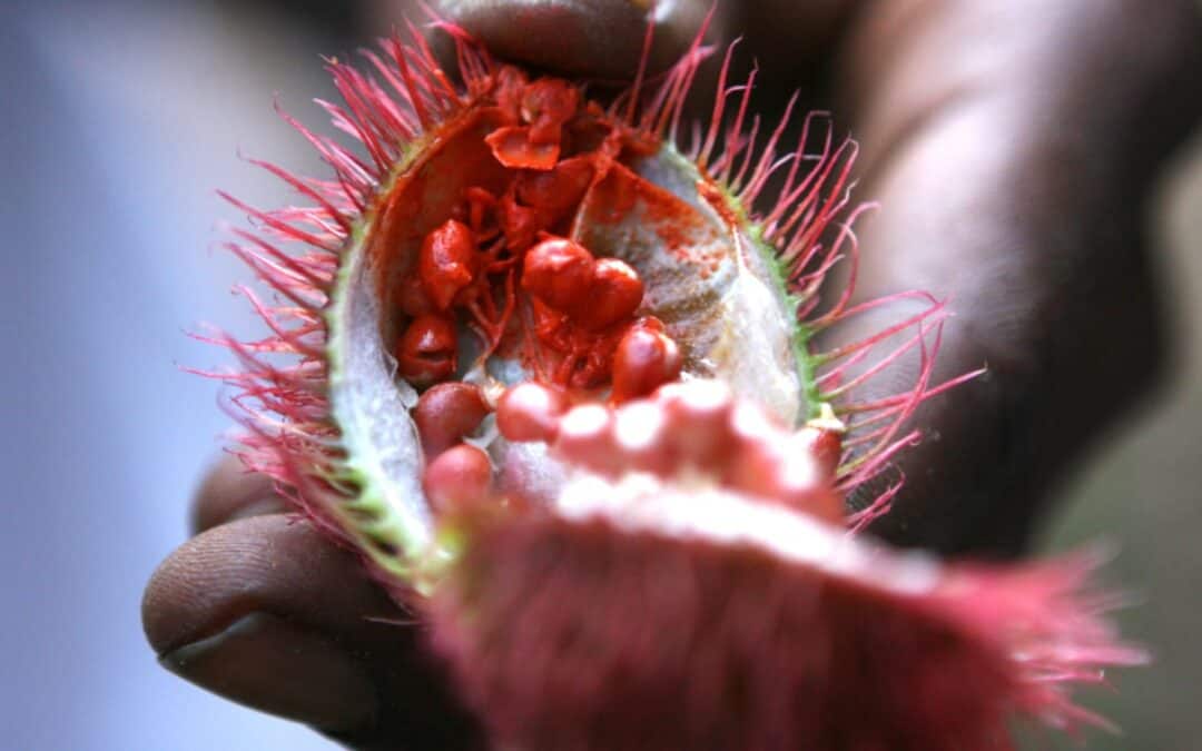 Die Achiote