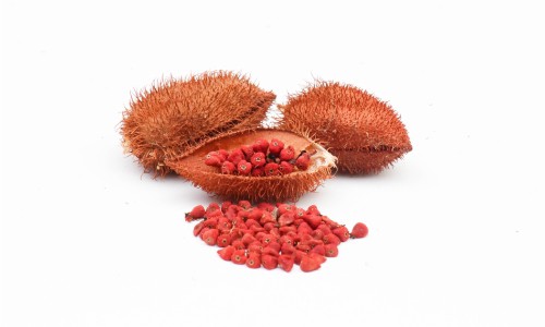 Achiote Frucht und Samen