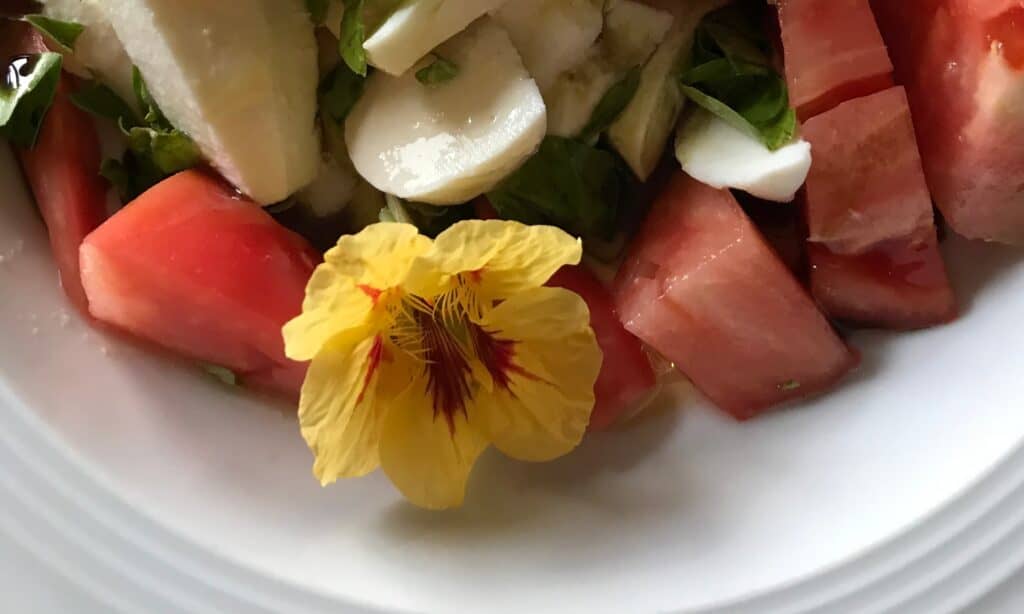 Sommergemüse mit Tomaten und Mozarella - essbarer Sonnenschutz - Claresco Cosmetic