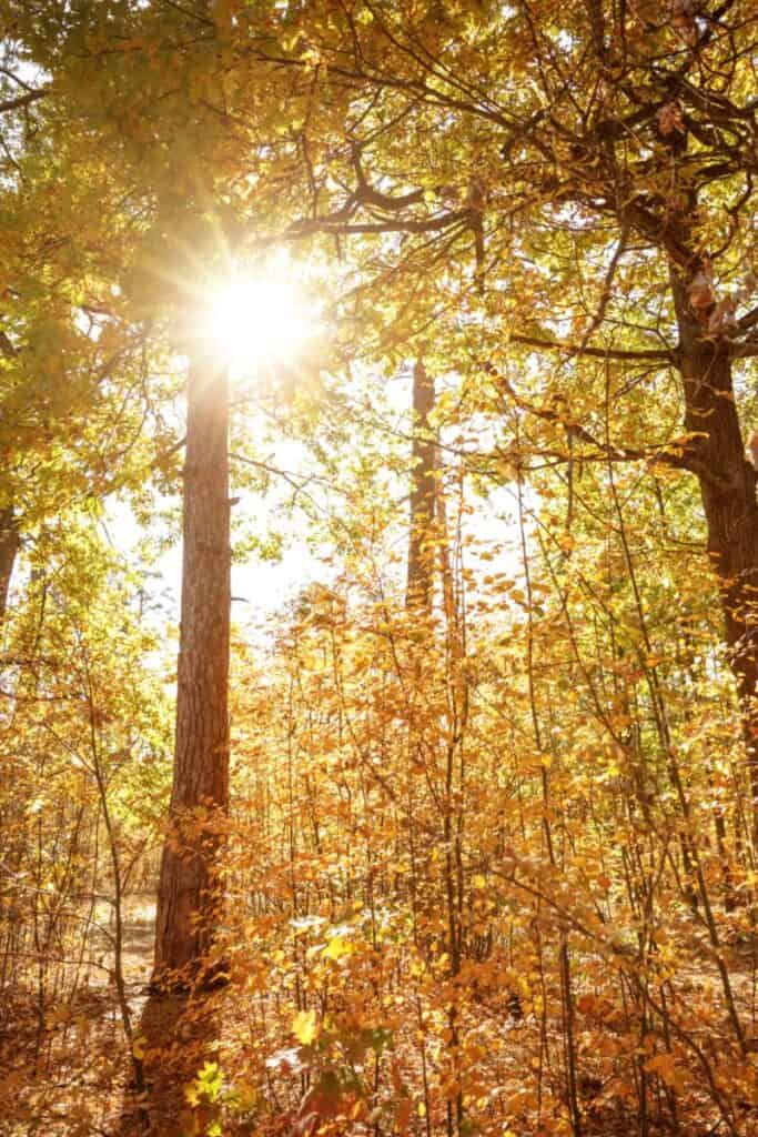 Witterungseinflüsse im Herbst auf unsere Haut