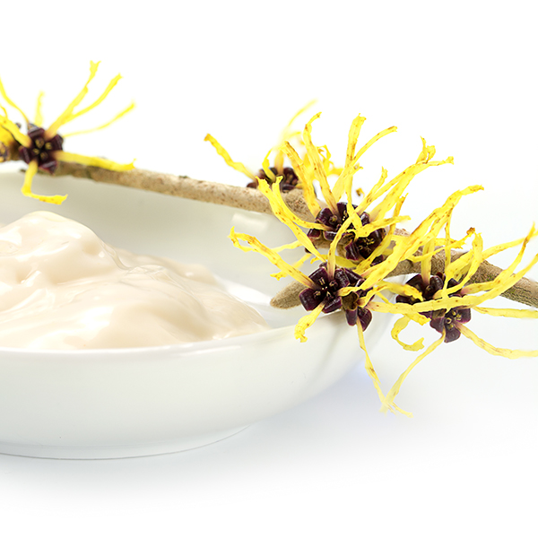 Hamamelis Masque – Bild 2