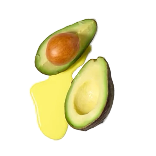 Darstellung einer aufgeschnittenen Avocadofrucht